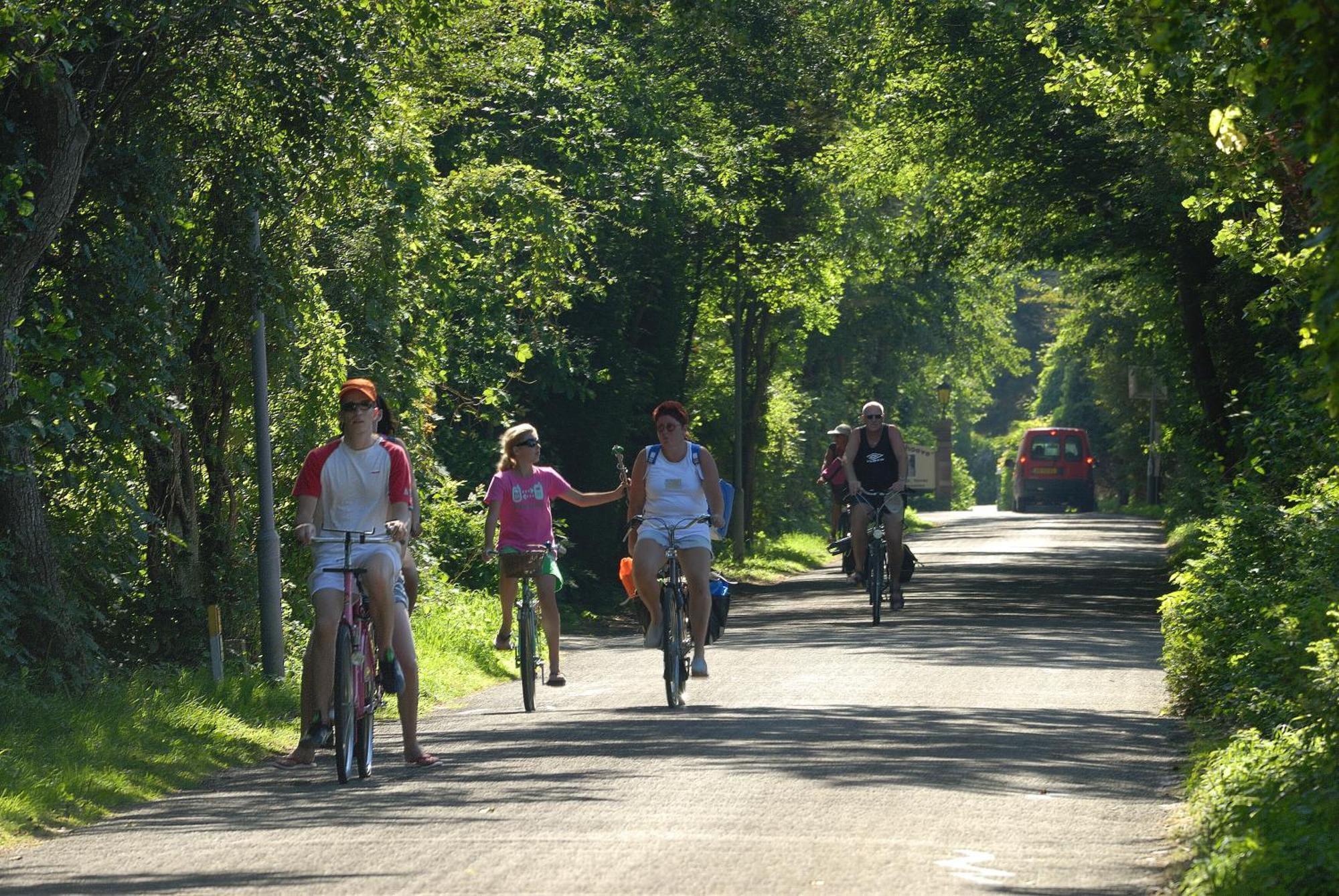 Hof Van Renesse Noordwelle Экстерьер фото